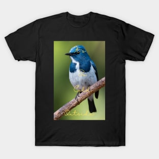 Bird eye view design T-Shirt